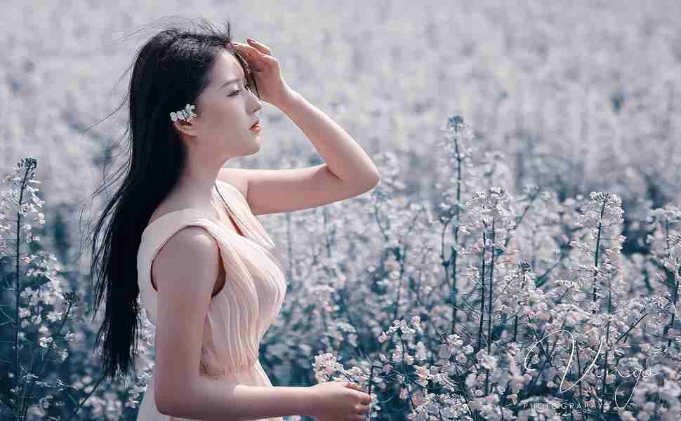 泛目录站群原理