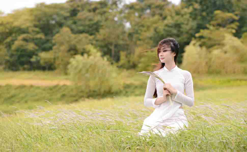 站群是什么意思