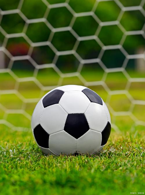 《咩咩启示录》大型扩展包「羊毛避风港」2026年1月22日推出